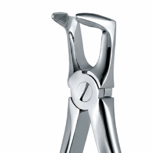 Extraction Forceps No. 46N